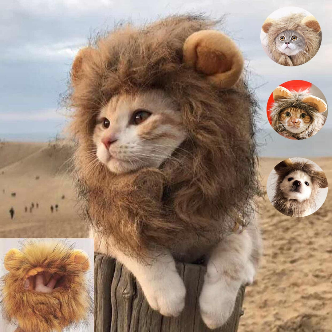 Lion Cat Costume