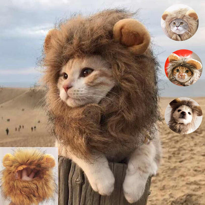 Lion Cat Costume