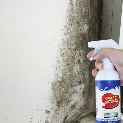 Mold Removal Spray