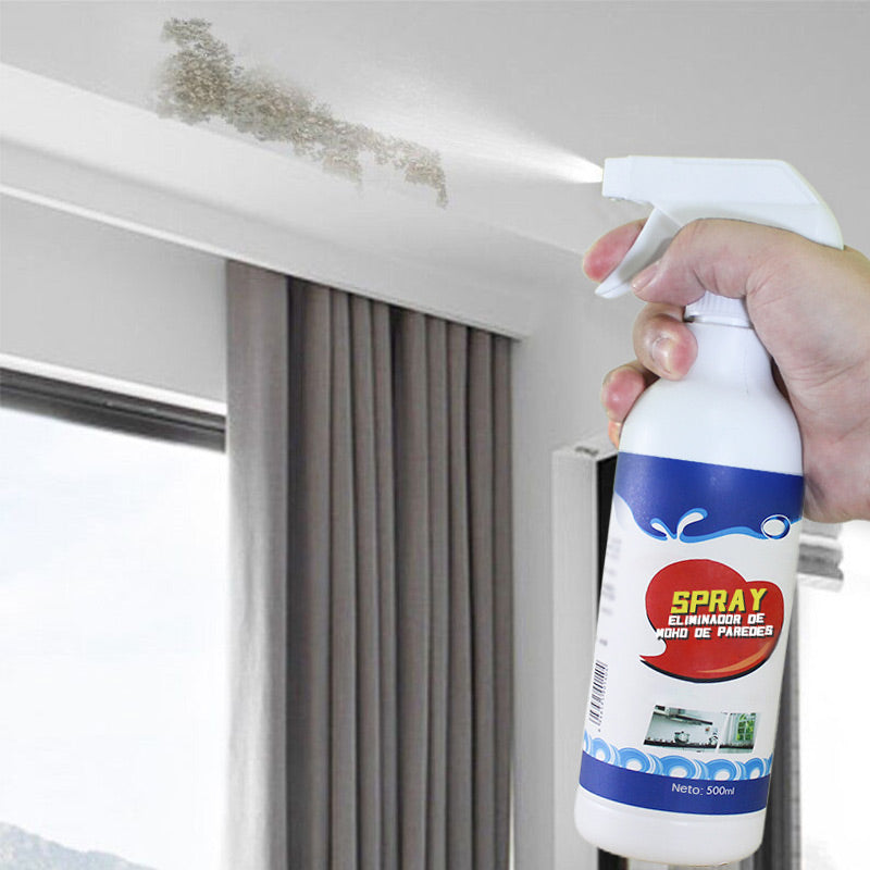 Mold Removal Spray