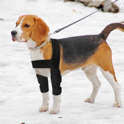 Pet Leg brace Support