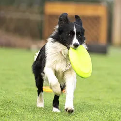 Durable dog rubber flying disc