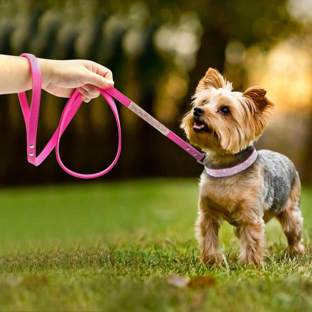 Cute Sparkling Pet Collar & Leash Set