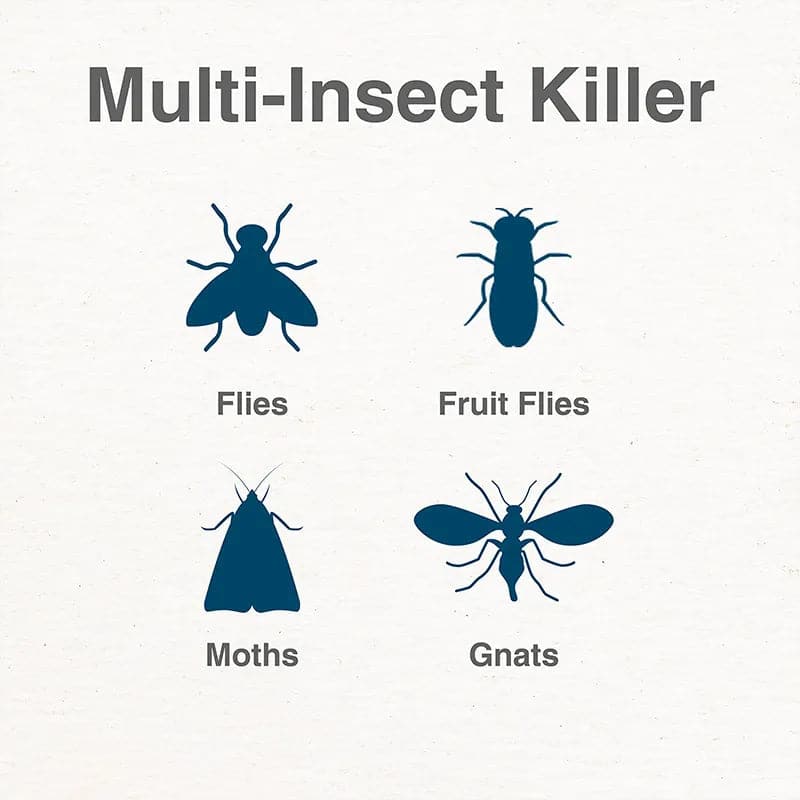 Indoor Socket Fly Trap