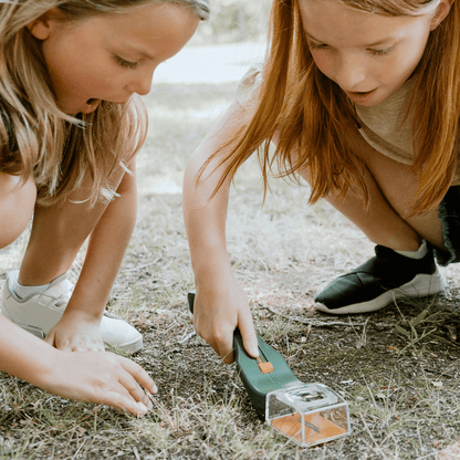 Quick-Release Insect Catcher