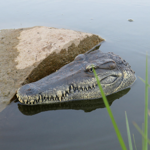 Crocodile Head Remote Control Boat