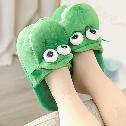 Funny Slippers