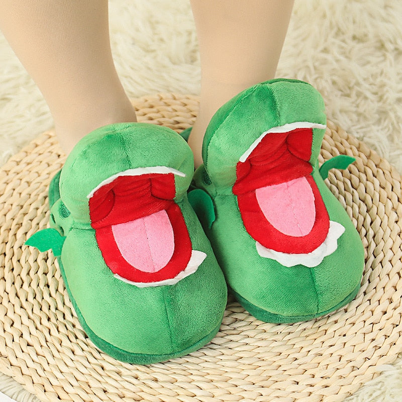 Funny Slippers