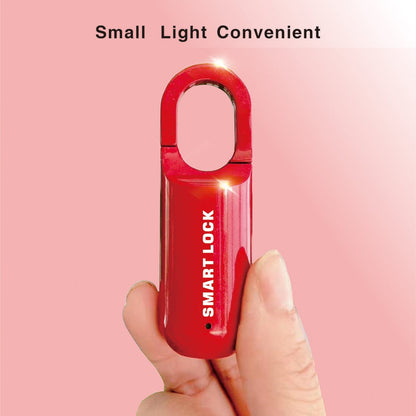 Mini Fingerprint Padlock