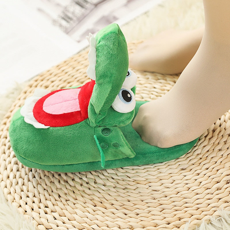 Funny Slippers