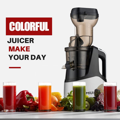 Electric Fruit Blender