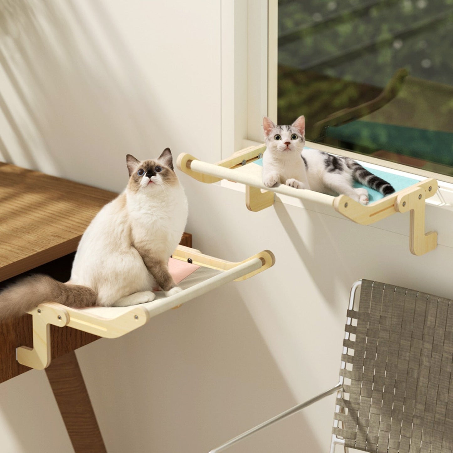 Cat Hanging Bed