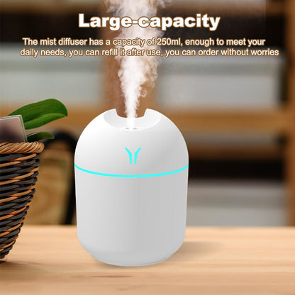 Portable Mini Mist Sprayer: Air Humidifier