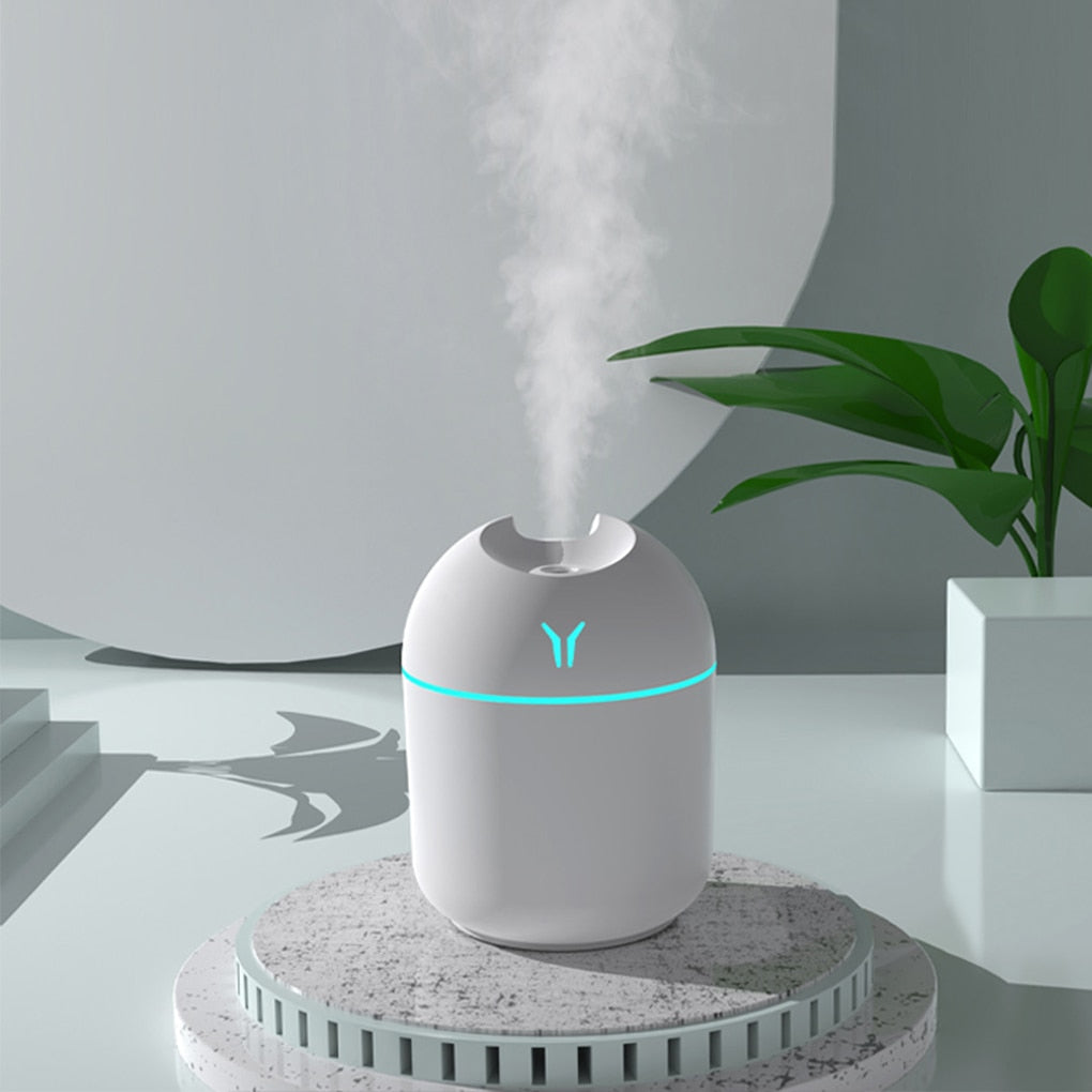 Portable Mini Mist Sprayer: Air Humidifier