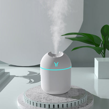 Portable Mini Mist Sprayer: Air Humidifier