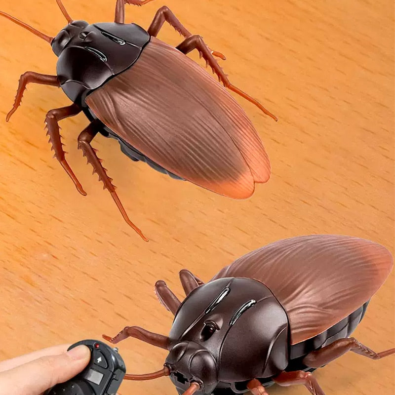 Remote Control Cockroach