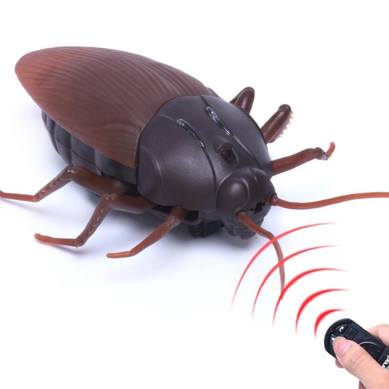 Remote Control Cockroach