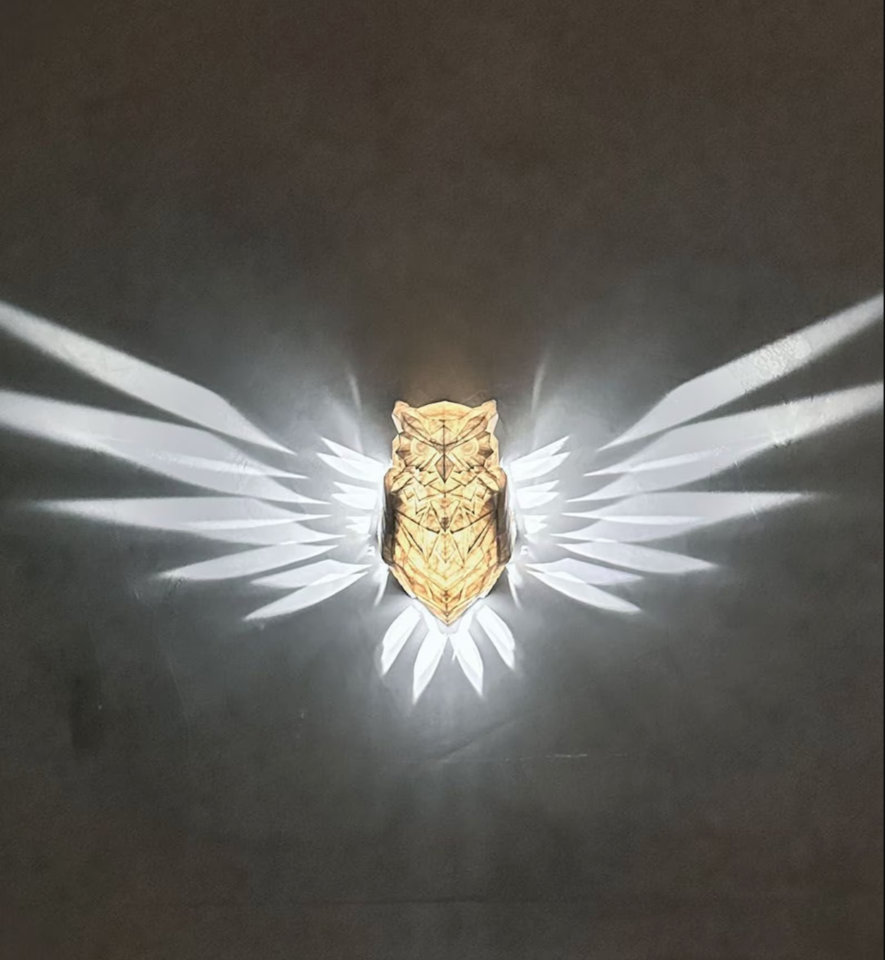 Night Owl LED Wall light