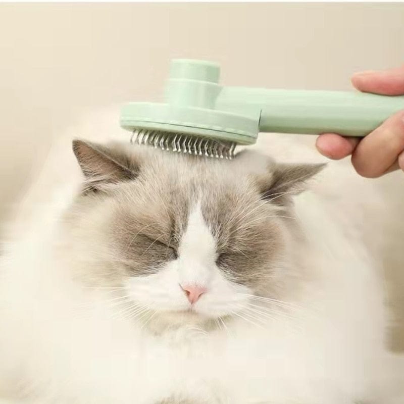 Cat Comb