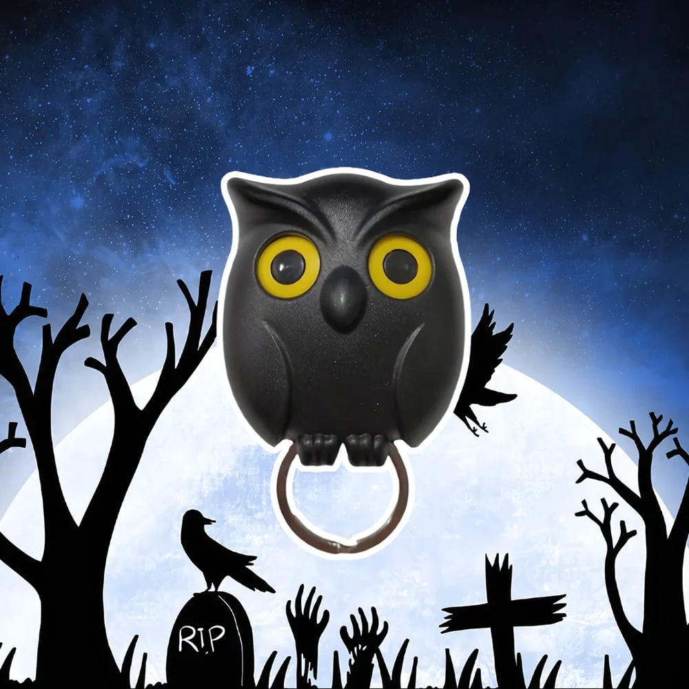 Night Owl Magnetic Wall Key Holder