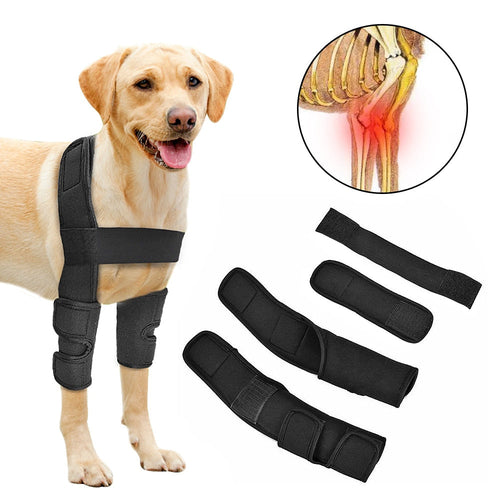 Pet Leg brace Support