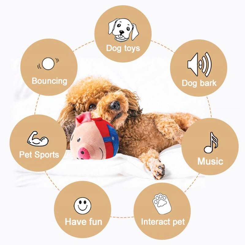 Interactive Talking Ball for Pets