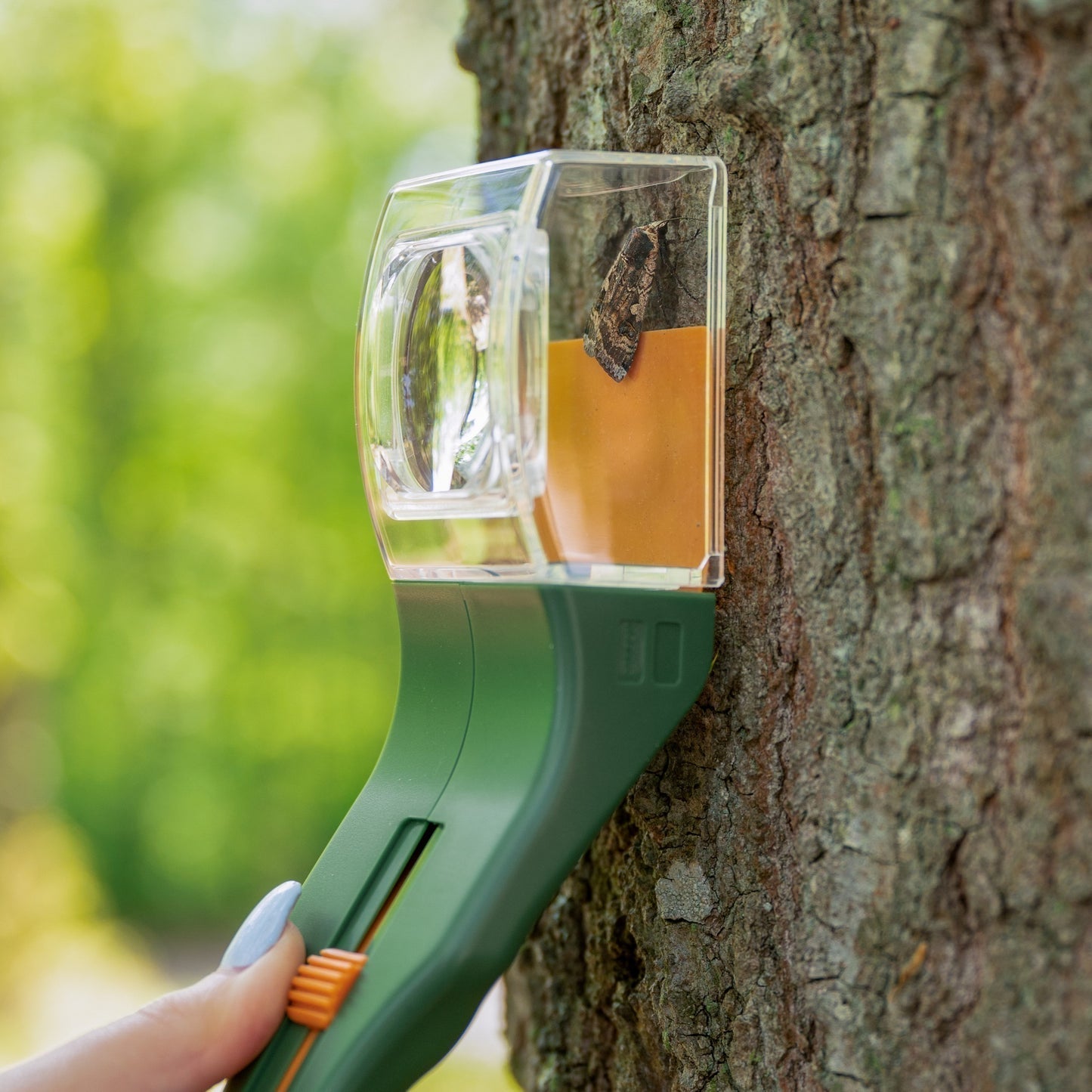 Quick-Release Insect Catcher