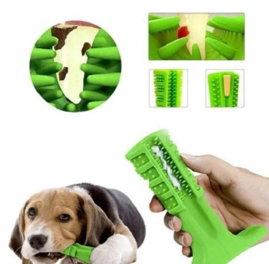 Pet chew toy Toothbrush