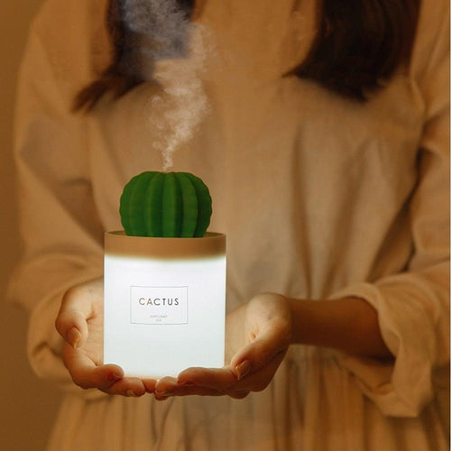 Cactus Humidifier