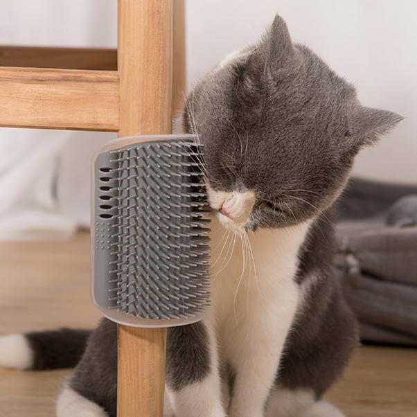 Cat Corner Brush