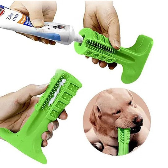 Pet chew toy Toothbrush