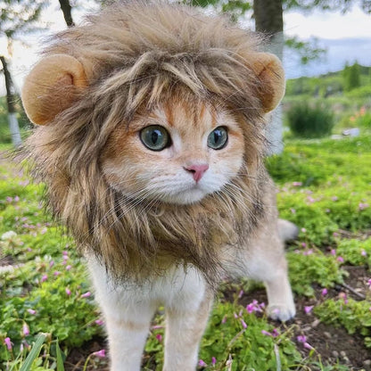 Lion Cat Costume