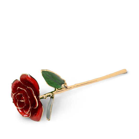 24K Gold Dipped Rose