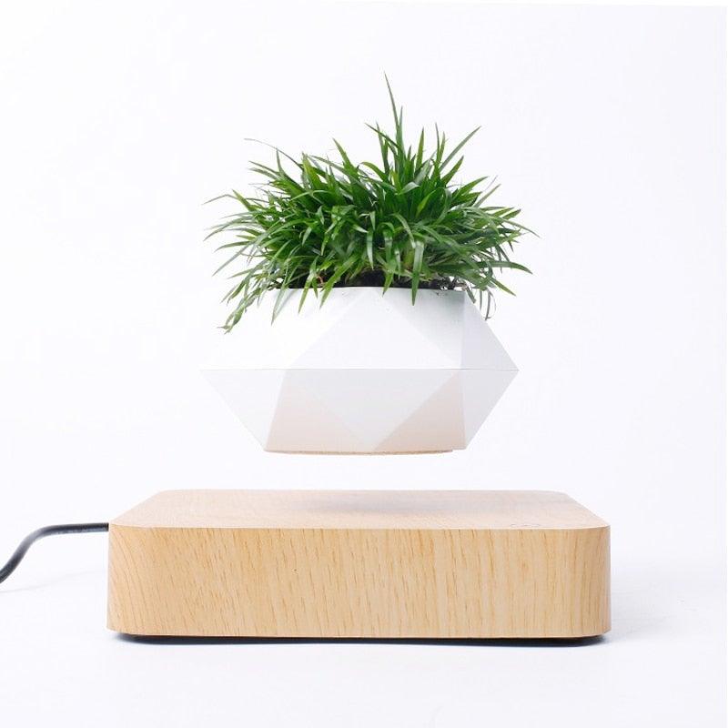 Levitating Air Bonsai Pot