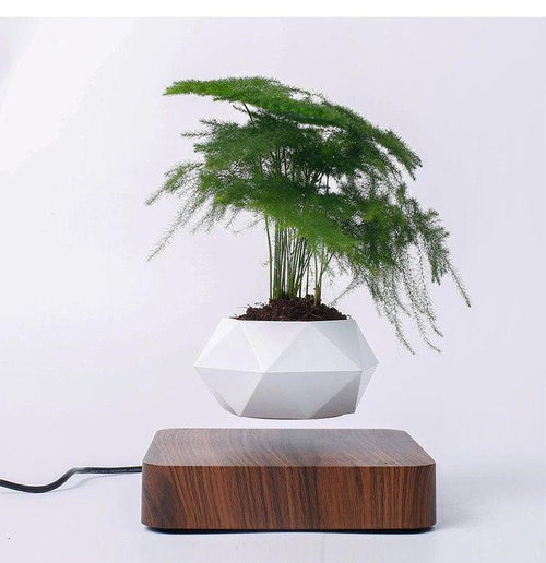 Levitating Air Bonsai Pot