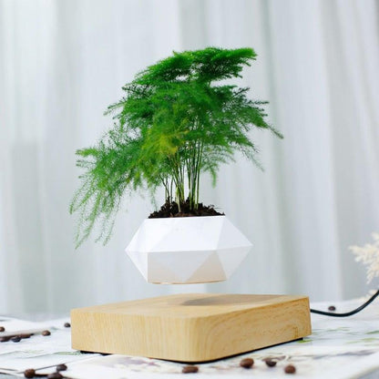 Levitating Air Bonsai Pot