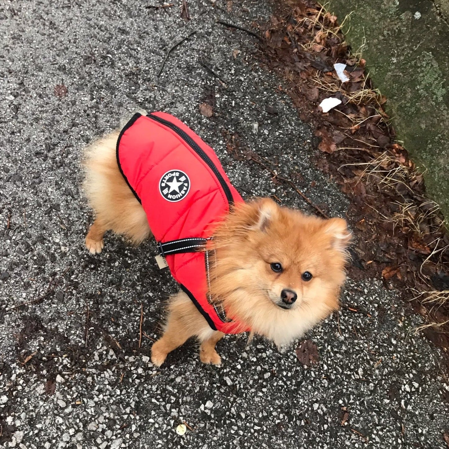 FurryKing 3 in 1 Winter Jacket