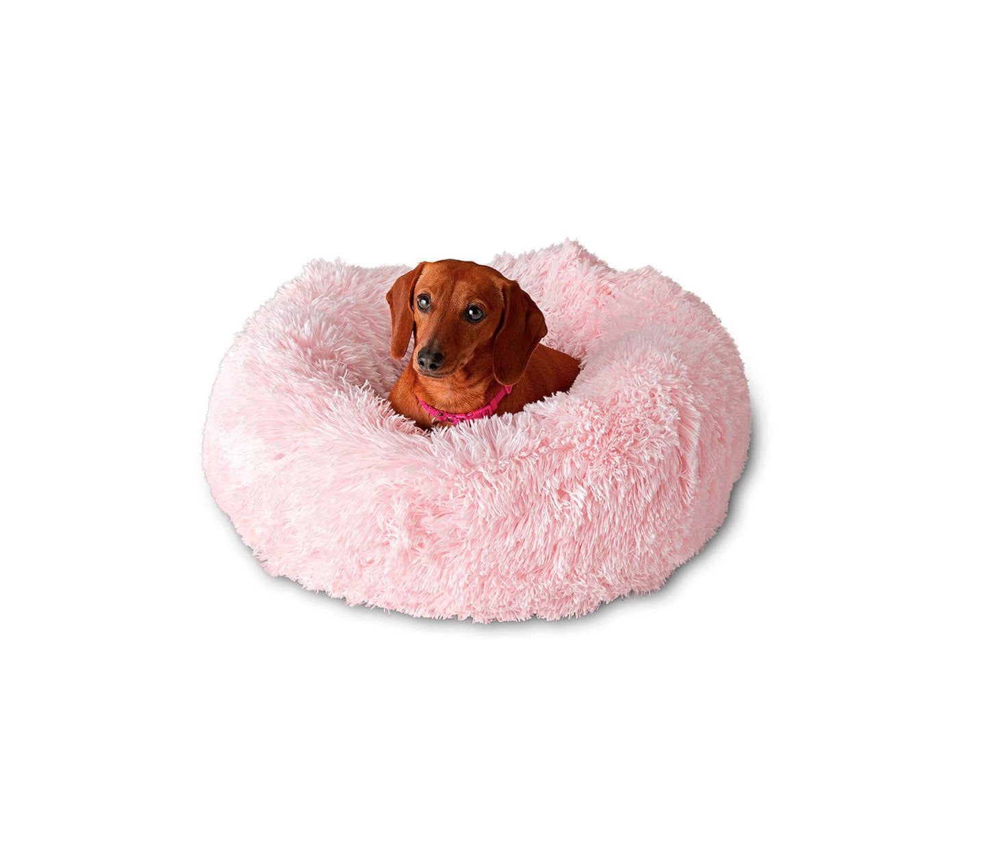 Pet Calming Bed