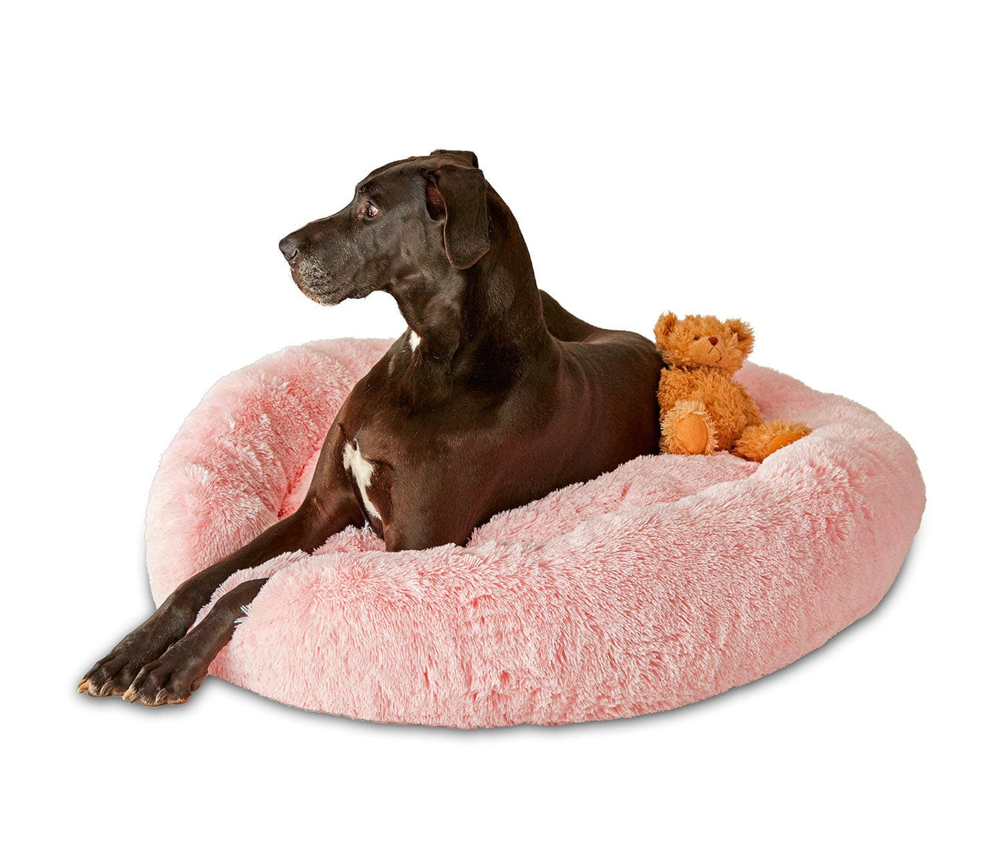 Pet Calming Bed