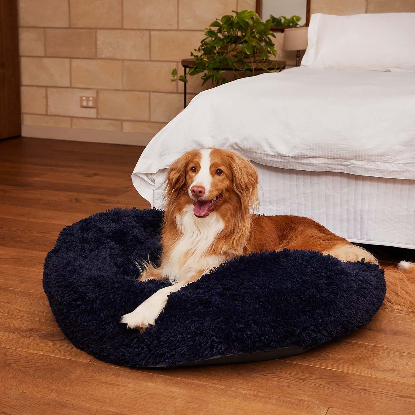 Pet Calming Bed