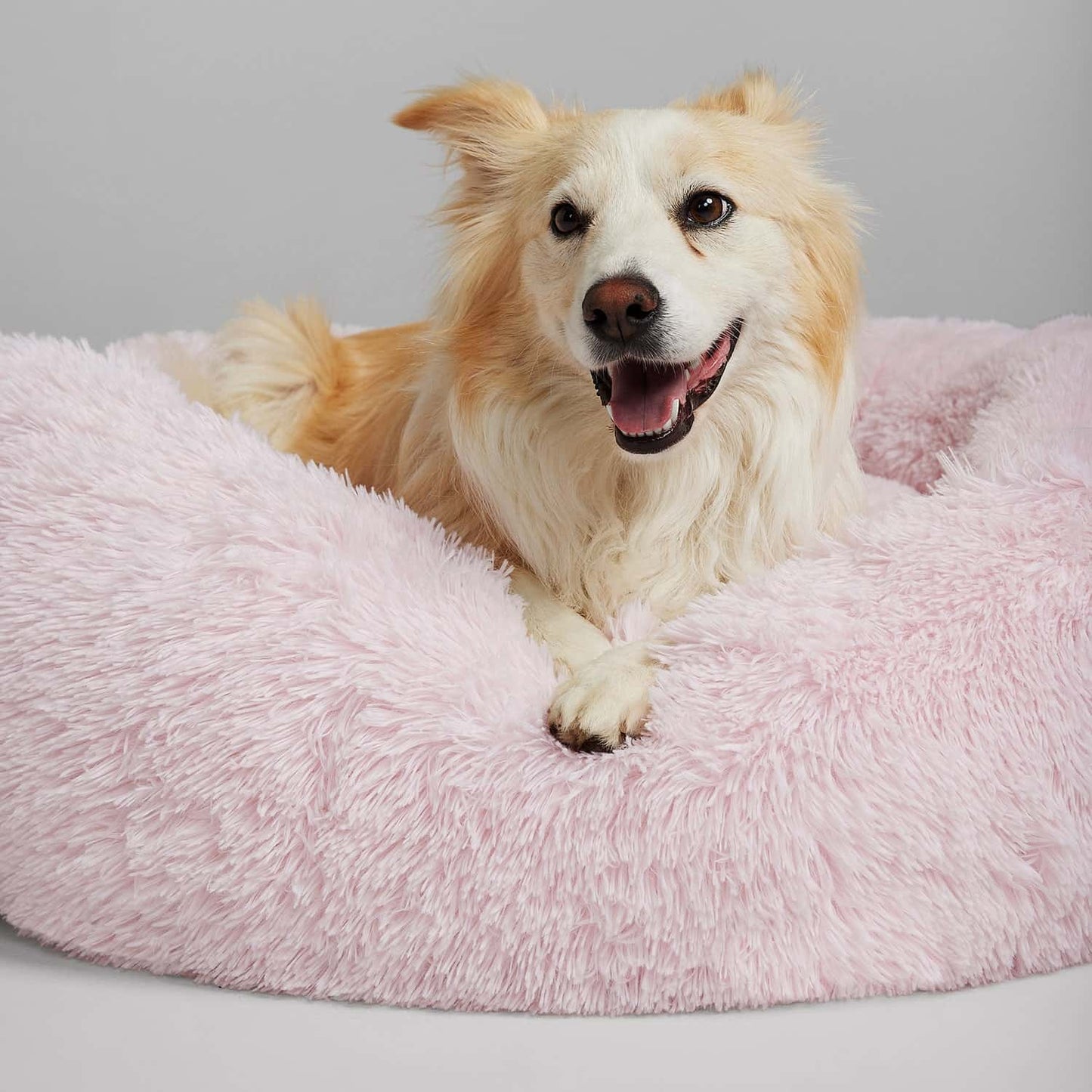 Pet Calming Bed